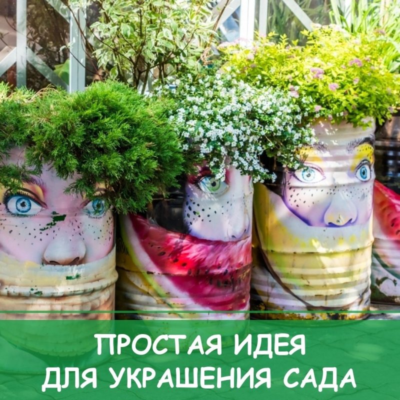 Бочки с цветами