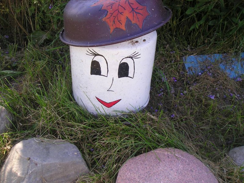 Бочка в огороде