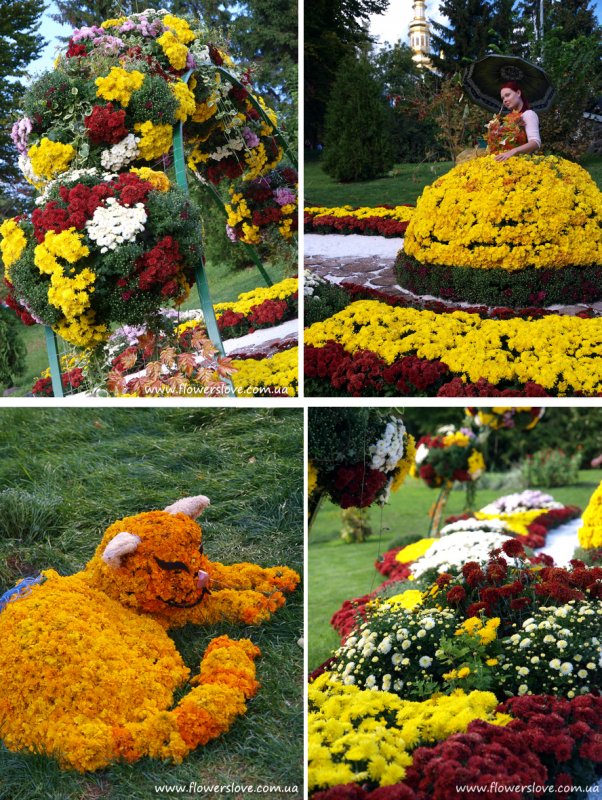Амарант на клумбе и бархатцы