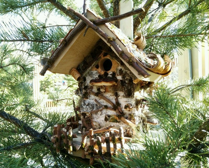 Скворечник синичник