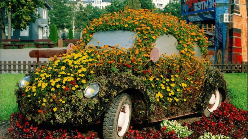Фигурные клумбы