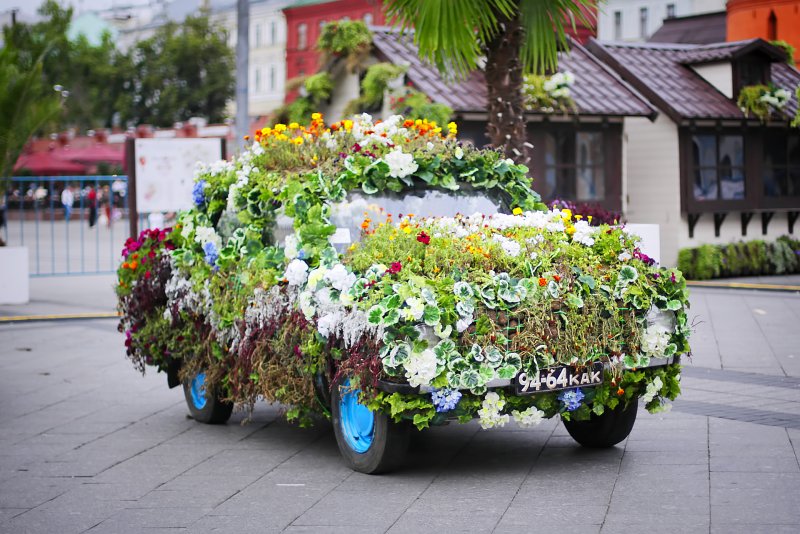 Автомобиль в цветах