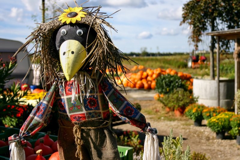 Чучело для огорода