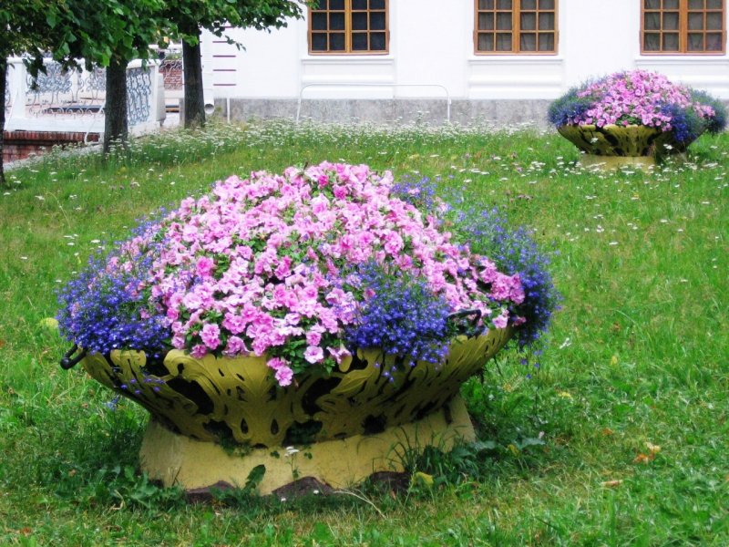 Мини клумбы