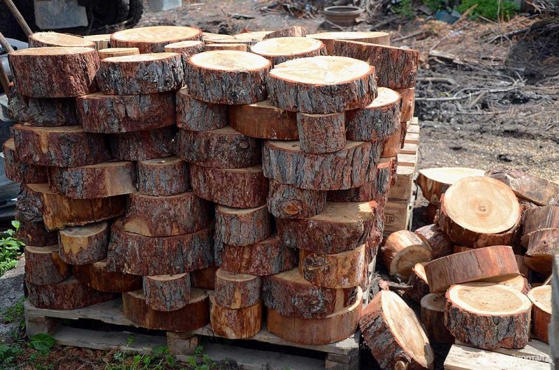 Панно из спилов