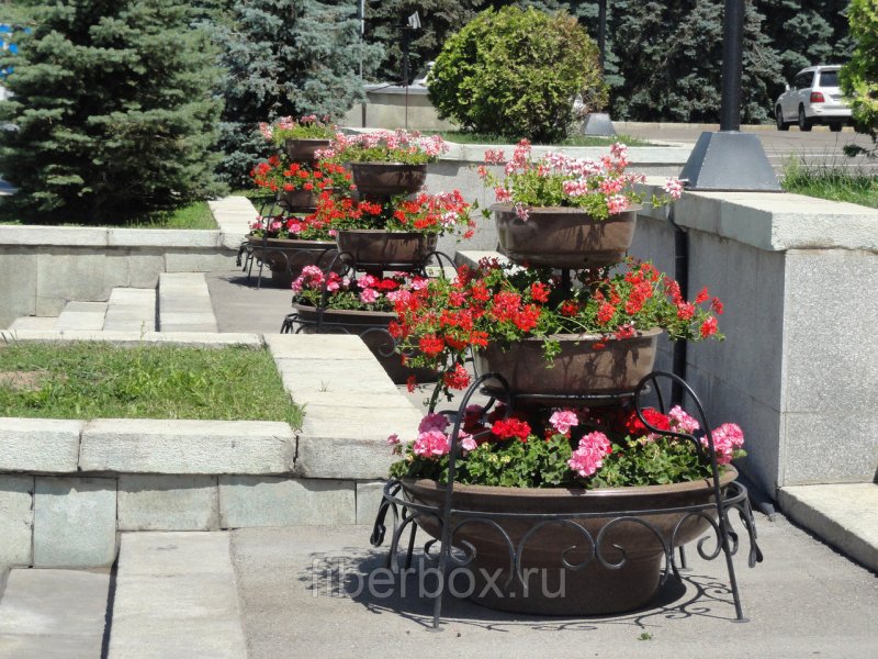Вазон с цветами