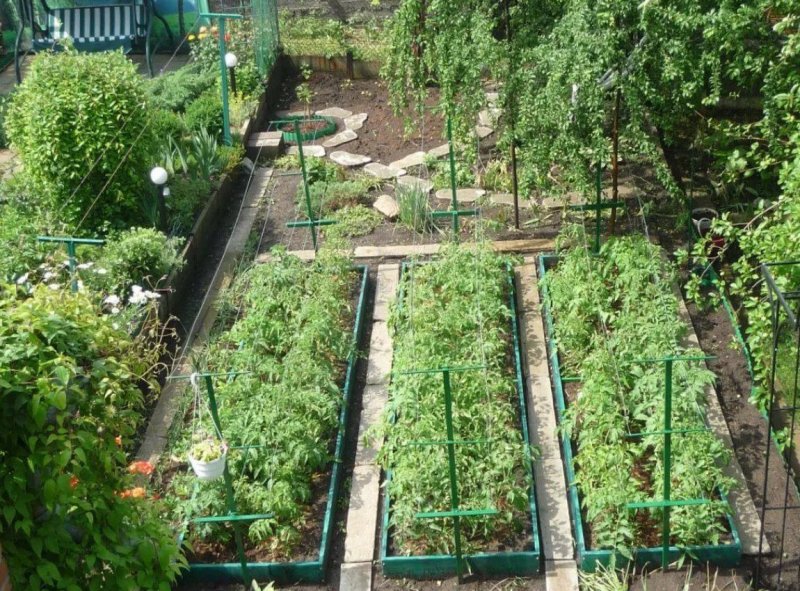 Планировка грядок на даче