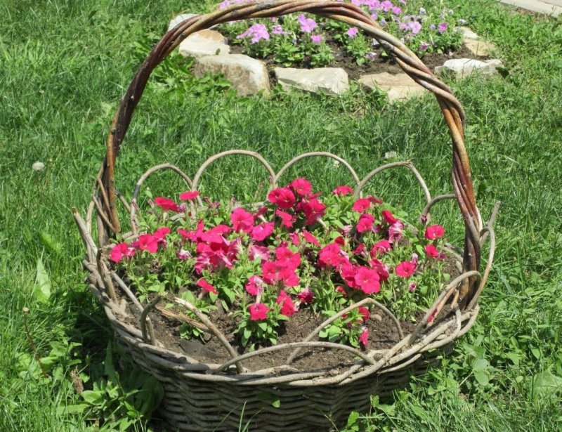 Клумба в виде корзинки