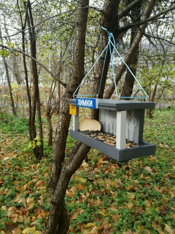Креативные кормушки для птиц