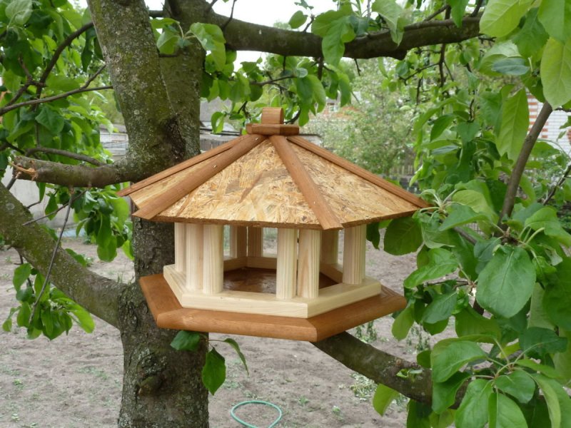Необычные кормушки для птиц из дерева