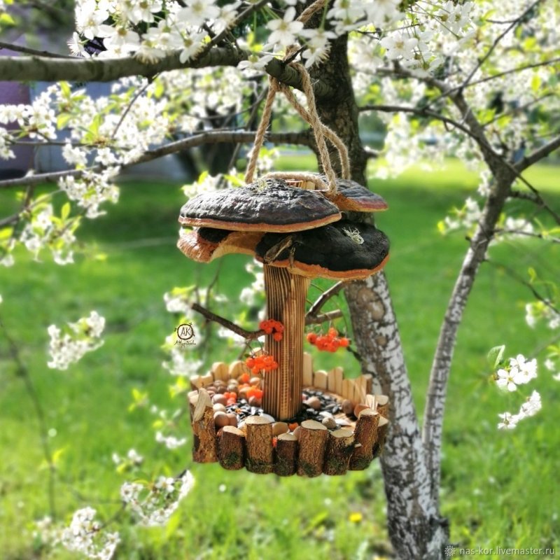 Самые красивые кормушки для птиц