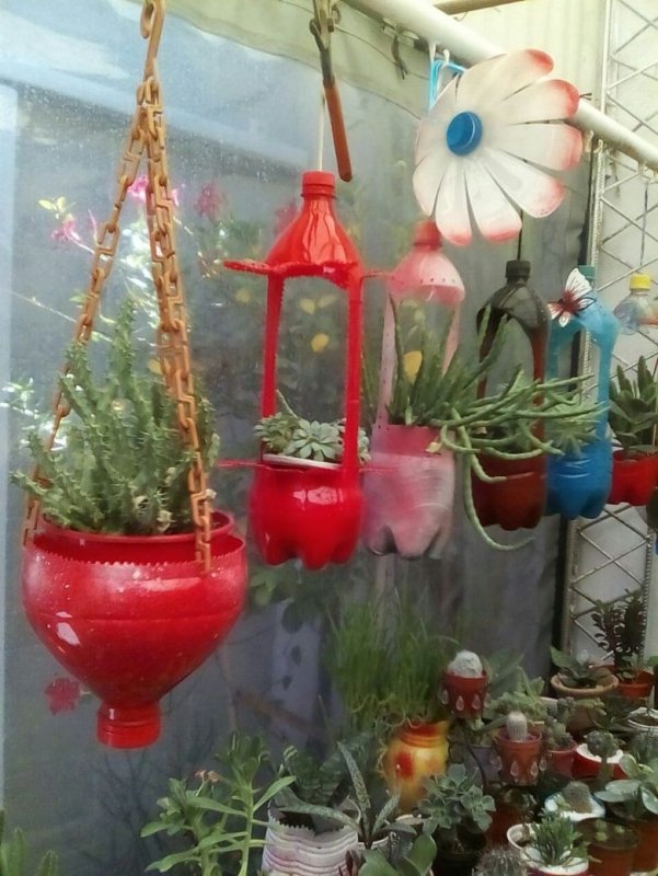 Цветы в пластиковых бутылках на даче