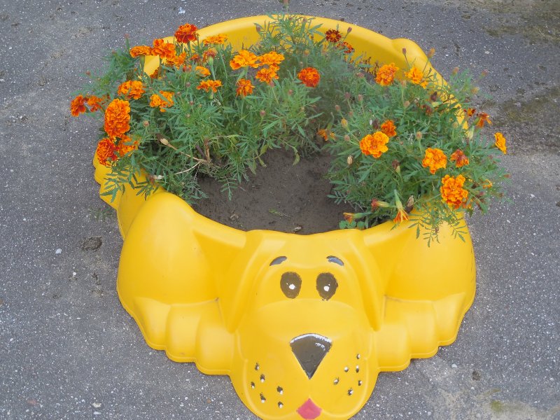 Клуба из стеклянных бутылок