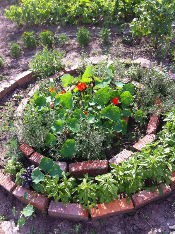 Красивые клумбы из кирпича