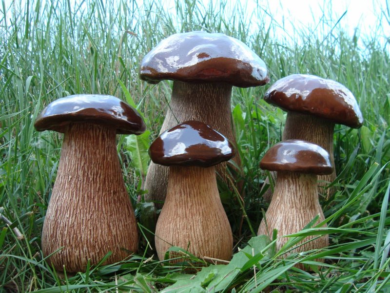Грибы своими руками для сада