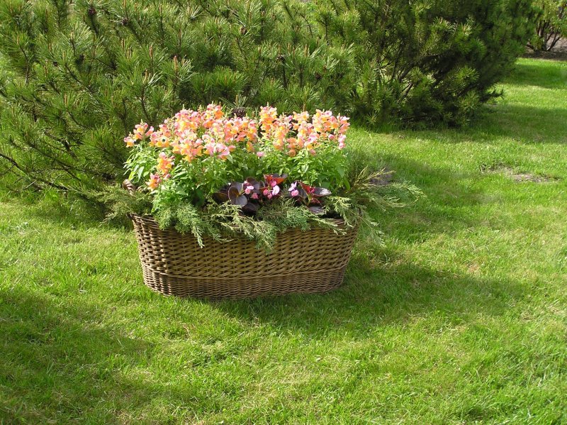 Красивые клумбы из колес