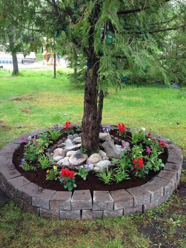 Клумба в приствольном круге