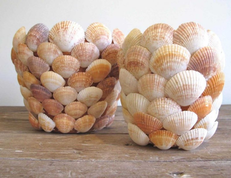 Полезные вещи из ракушек