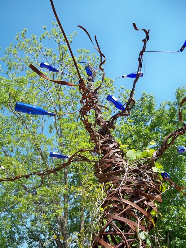 Yard to Bottles