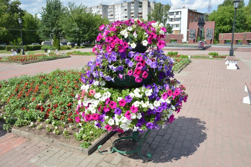 Клумбы и цветники
