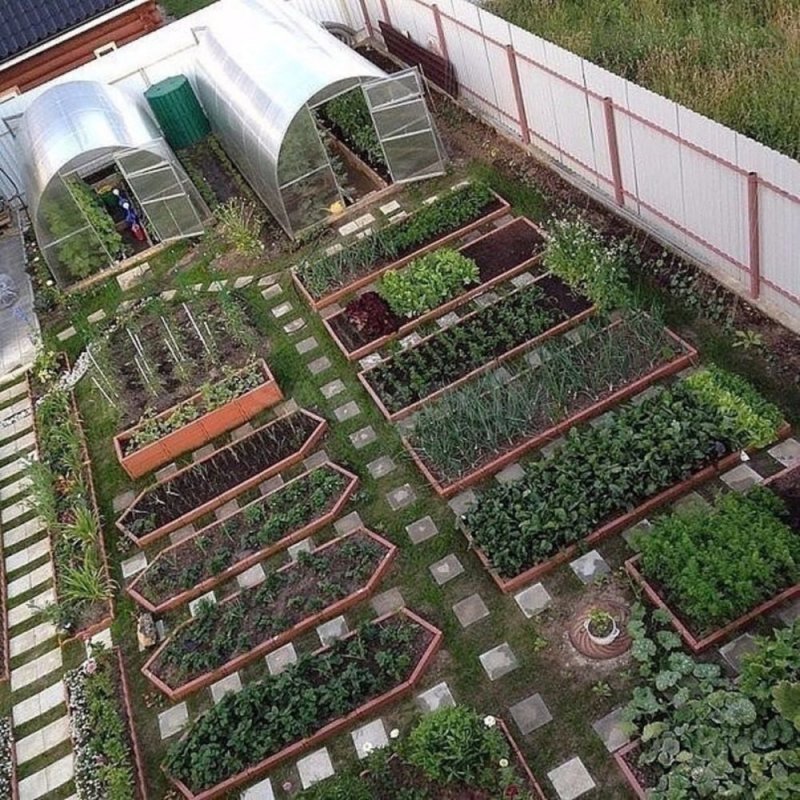 Планировка дачного участка
