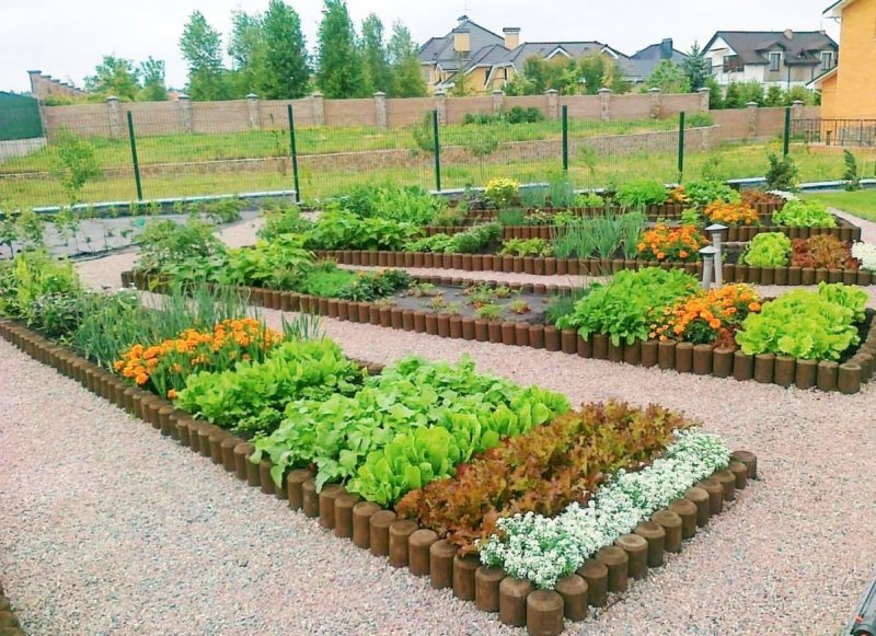 Расположение грядок в огороде