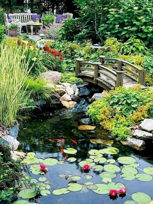 Пруд Pond