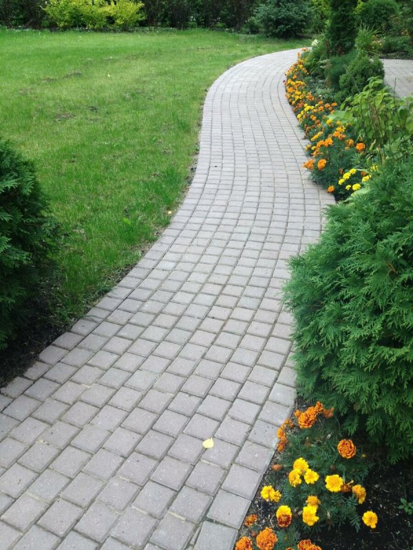 Дорожки из тротуарной плитки