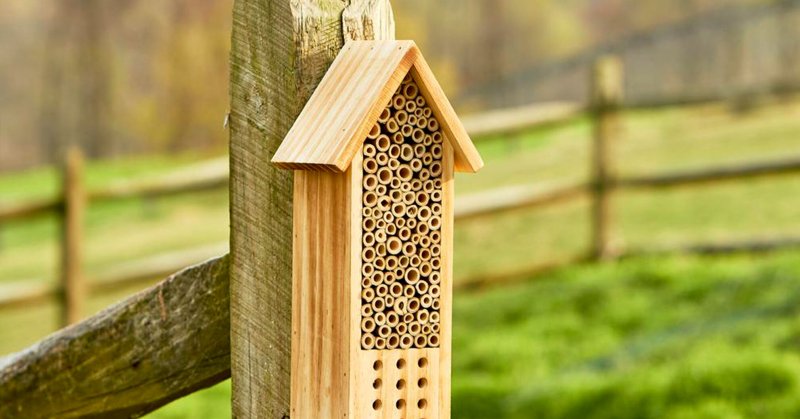 Bee House ornament