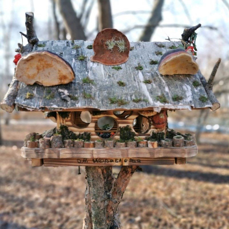 Зимние кормушки для птиц