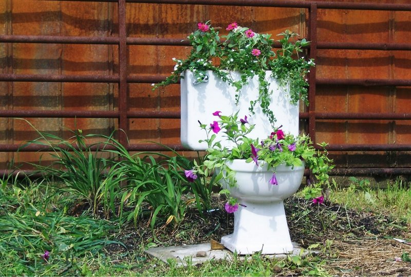 Клумба из старого унитаза