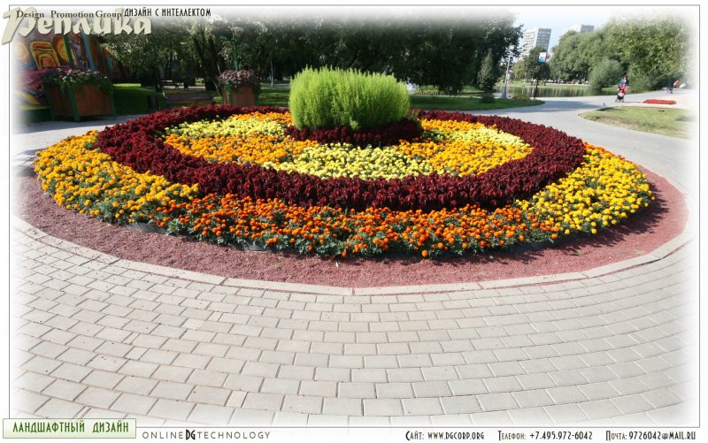 Клумбы полукругом с однолетниками