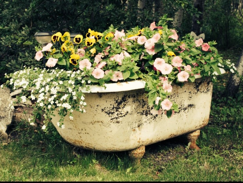 Клумба из ванны