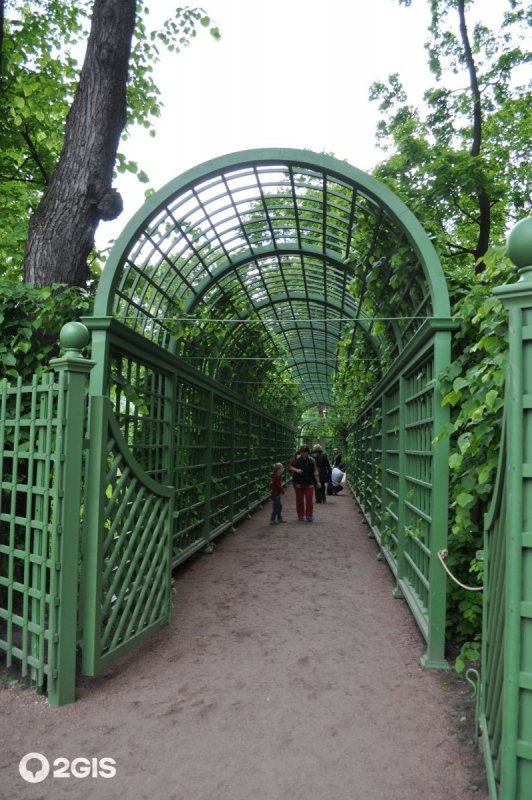 Боскеты Ломоносов
