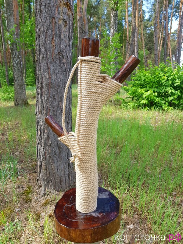 Из ствола дерева