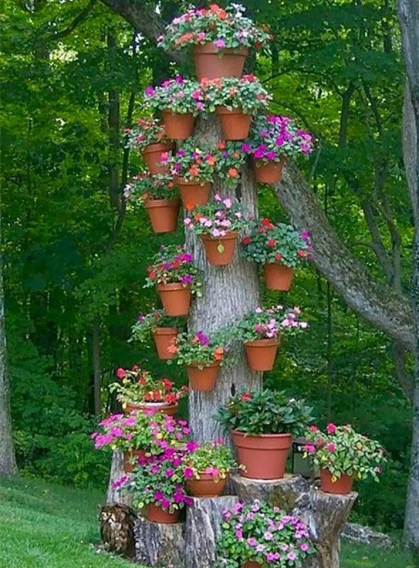 Клумба Вдохновение
