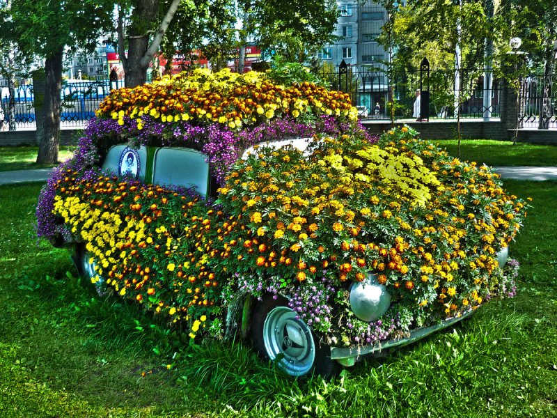 Машина клумба