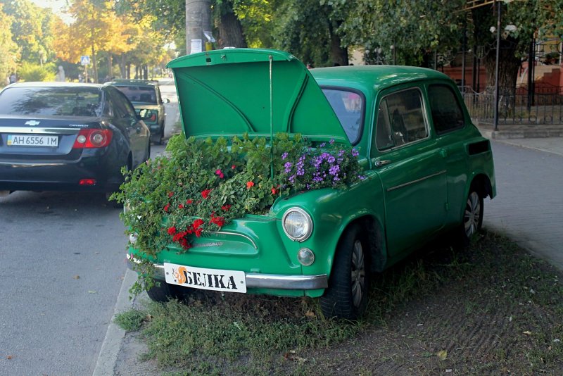 Горбатый Запорожец клумба