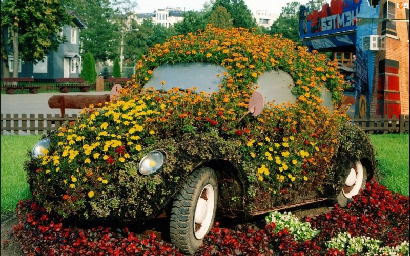 Фигурные клумбы
