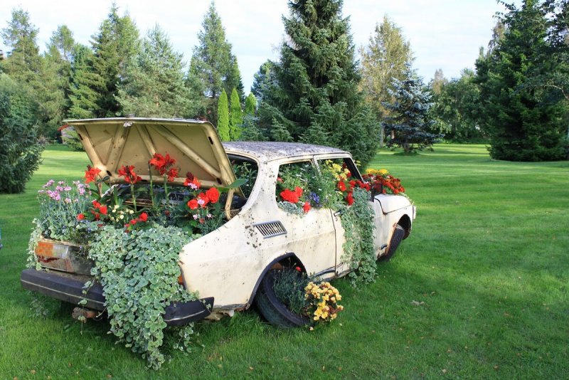 Клумба из старой Тачки