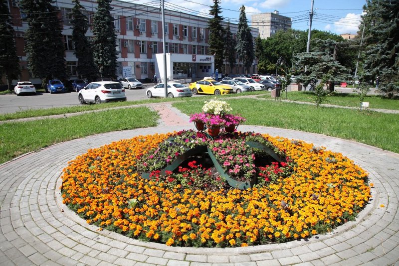 Парк Победы Чебоксары клумбы