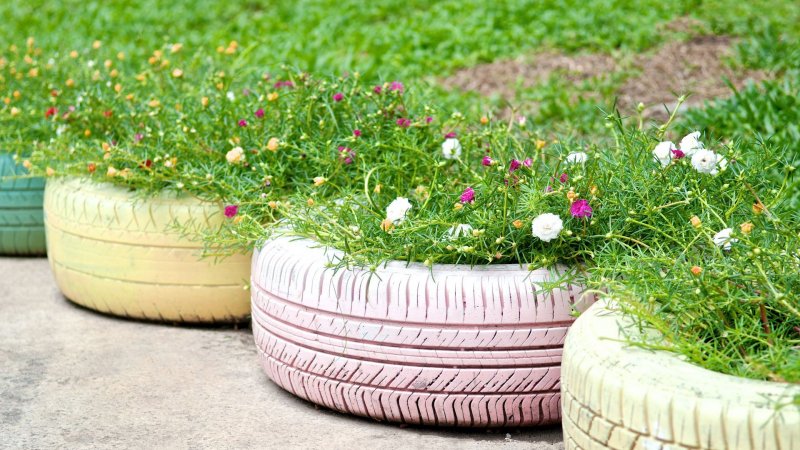 Canadian Tire Garden Accessories