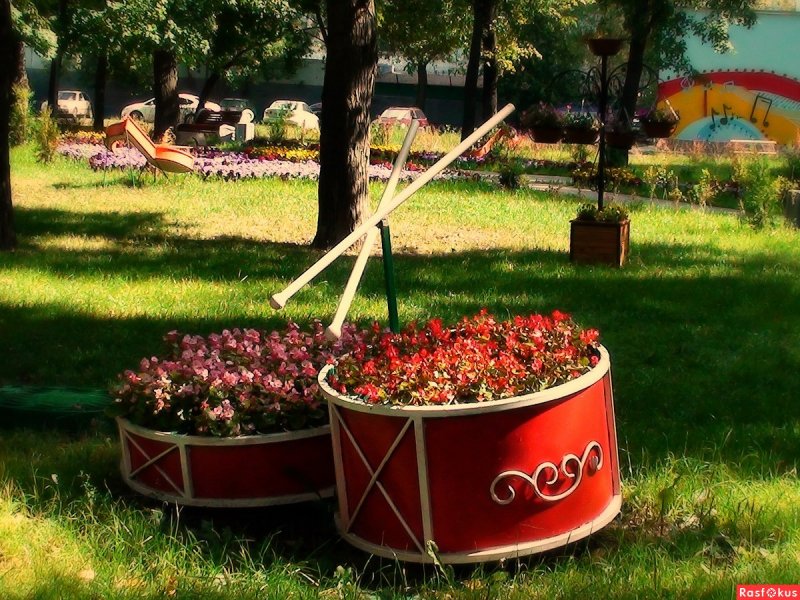 Селфи на клумбе