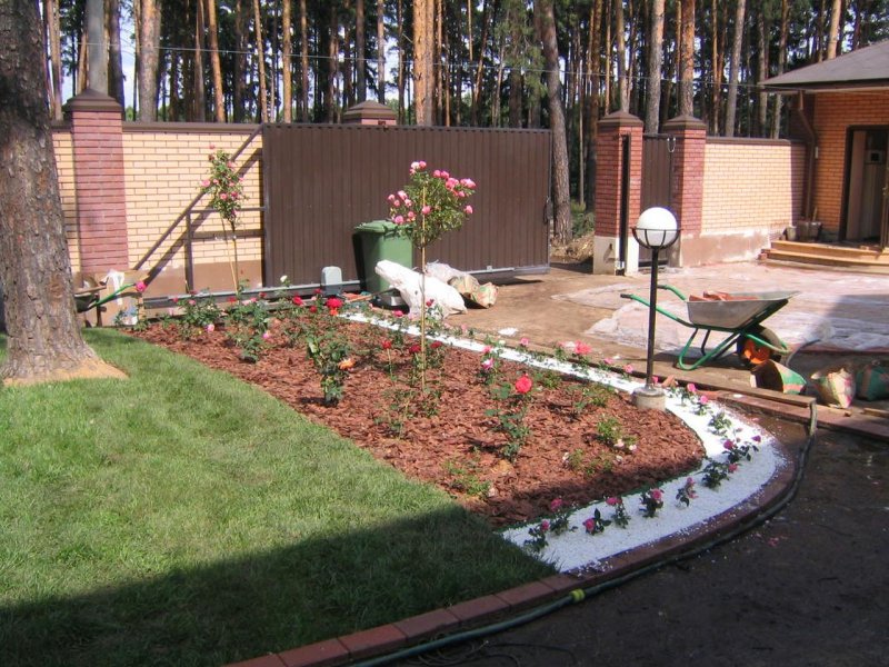 Декоративный цветник