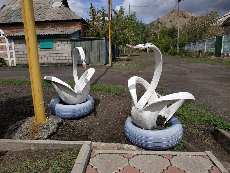 Гусь из колеса