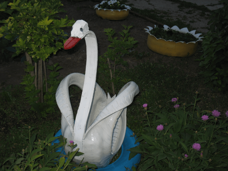 Лебедь на дачу