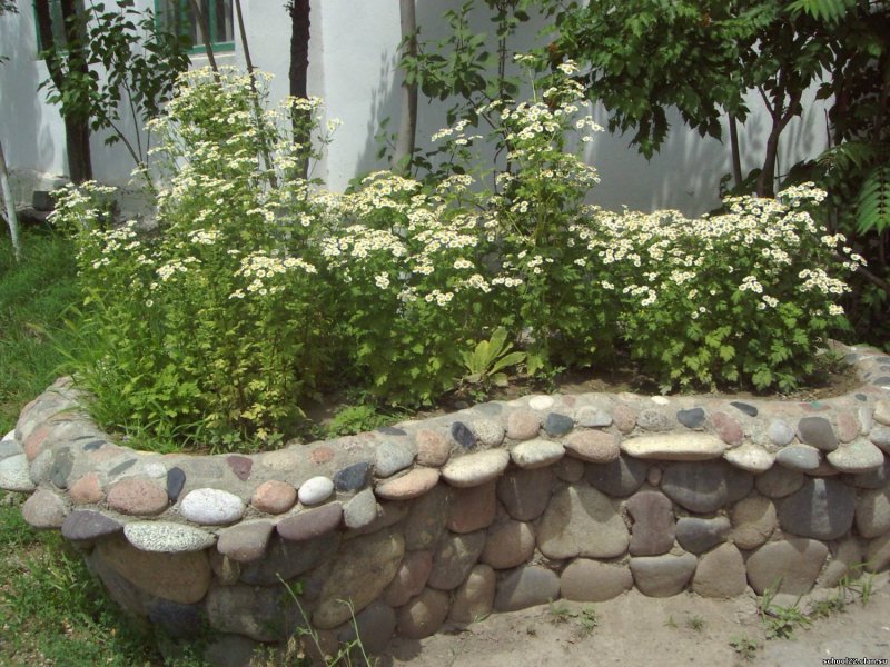 Клумба из камней и цемента