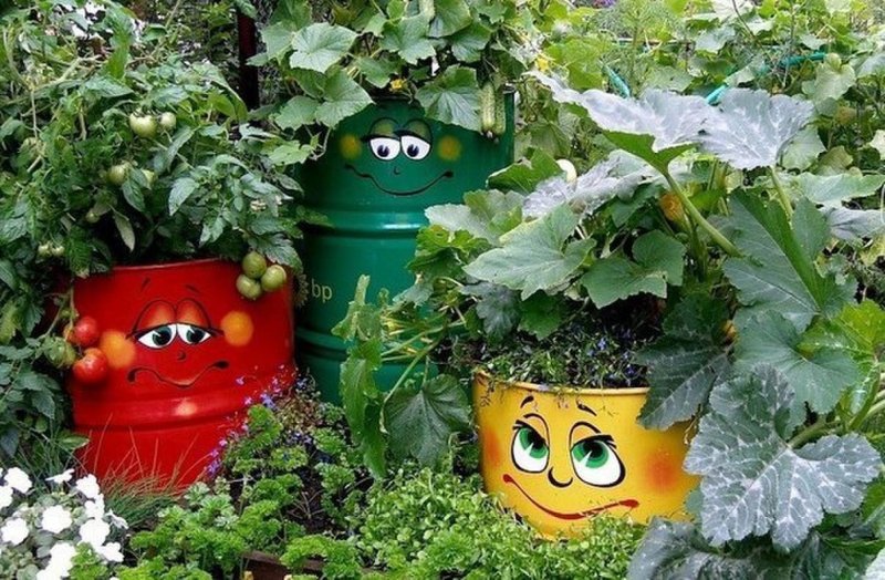 Красивый огород на даче в бочке