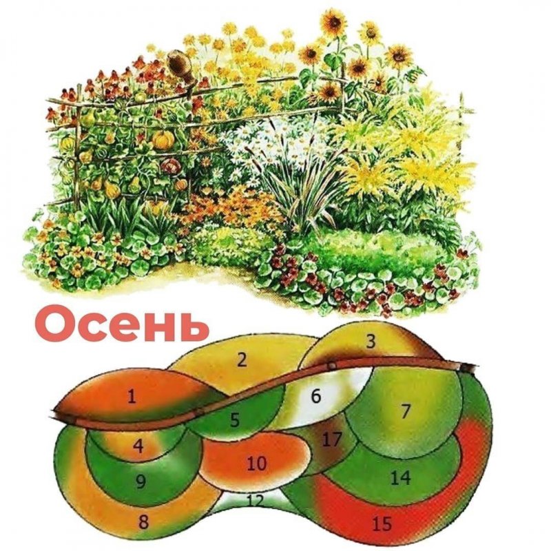 Цветник непрерывного цветения