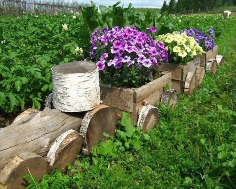 Клумба из спилов бревна